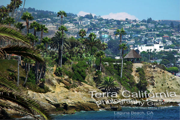 Laguna