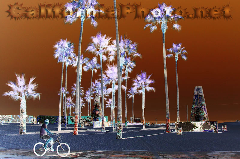 venice-beach-bikepath