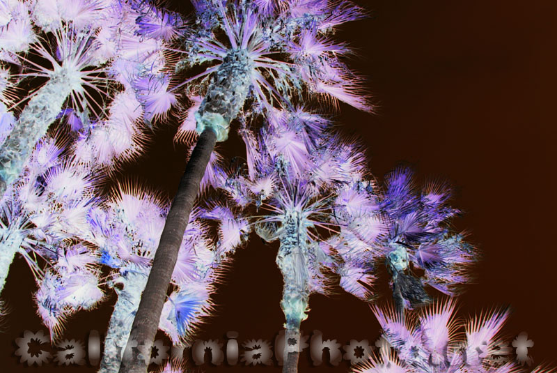venice-beach-view-2