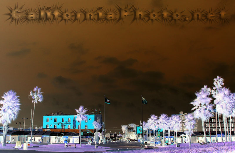 venice-beach-view-5
