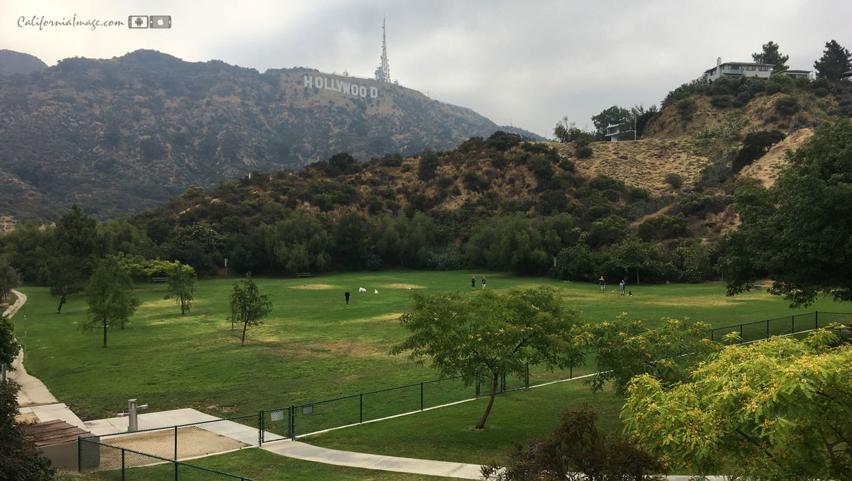 Hollywood Dog Park