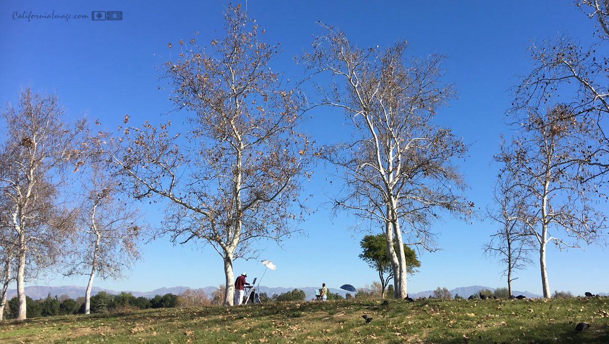 Painters On The Hill