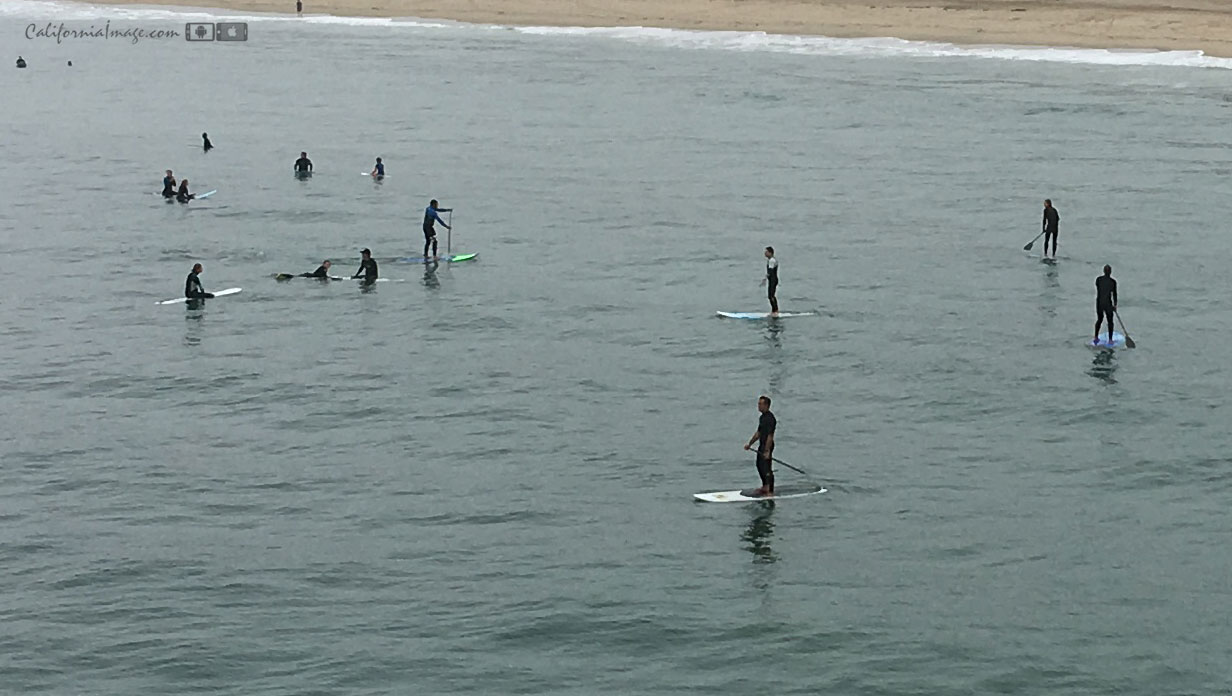 Waiting For Wave