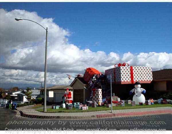 Abundance - Merry Christmas from California!