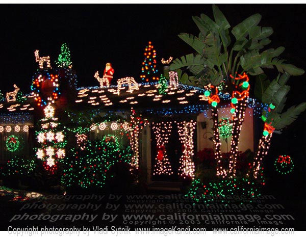 Joy - Merry Christmas from California!