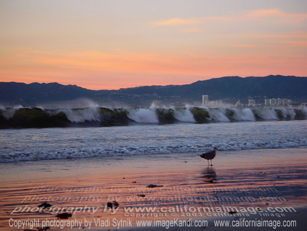 Santa Monica Bay Waves
