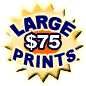 LARGE PRINTS $75