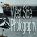 West side photography