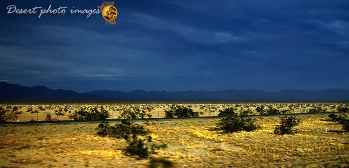 Desert Freeway