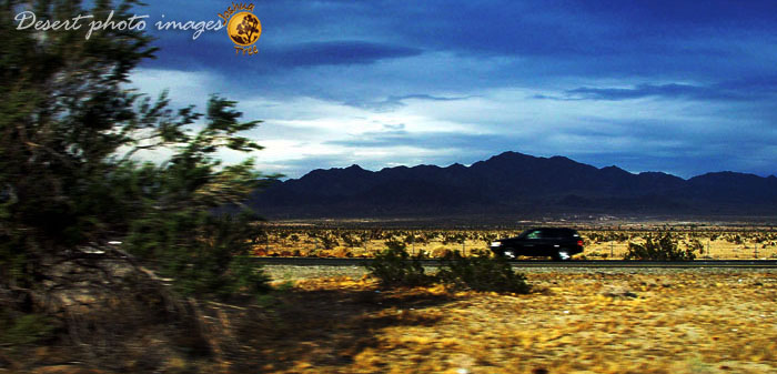 Desert Freeway