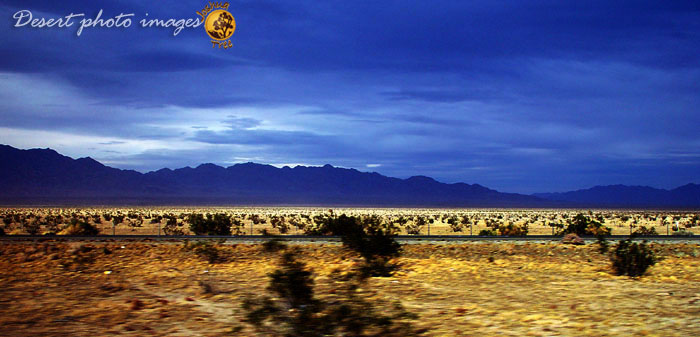 Desert Freeway