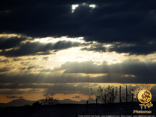 Light