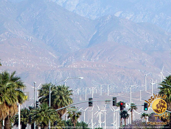 Desert