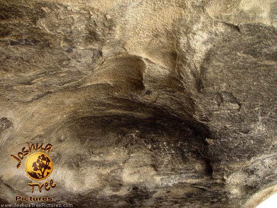 Rocks