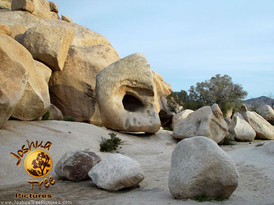 Rocks