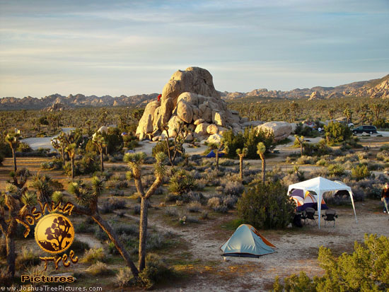 Campsite