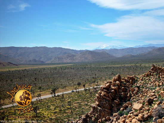 Desert