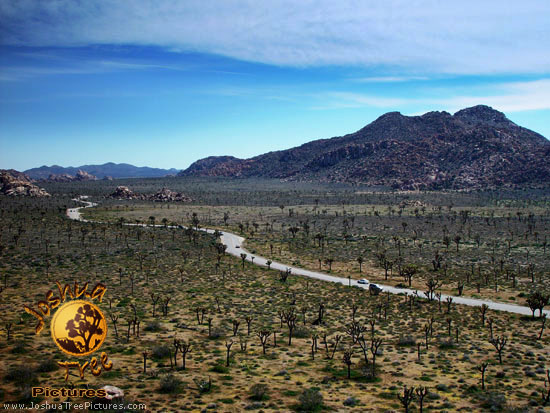 Desert