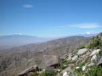 Joshua-Tree-Desert-April