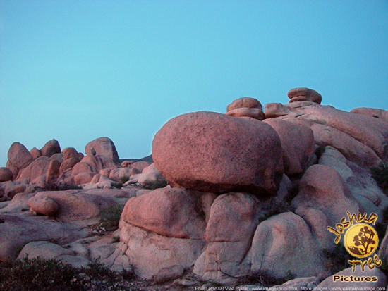 Rock
