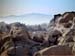 Joshua_Tree_April_2003_