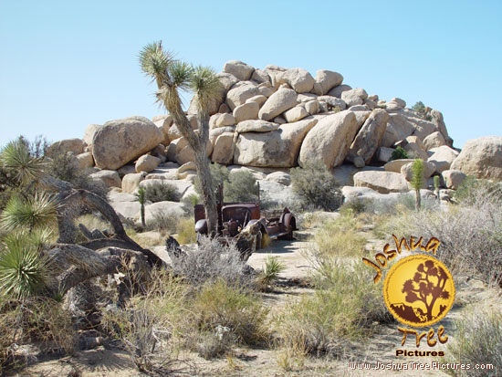 old-car-in-Joshua-Tree