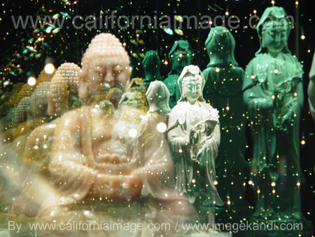 Buddha Wisdom Reflections