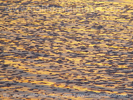 Ocean Water Reflection