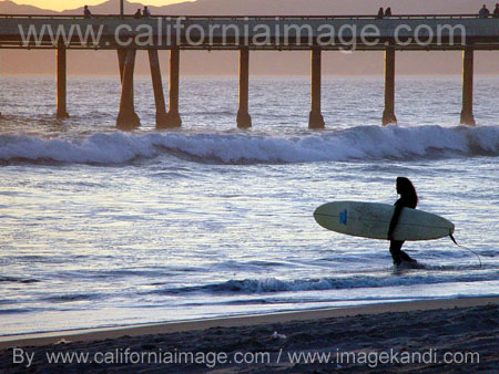 Marina Surfer